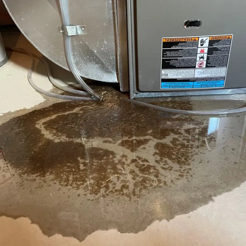 Pipe Burst and Leak Restoration in Dayton, IN
